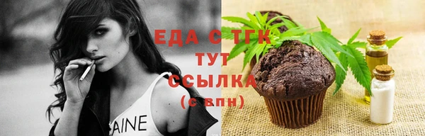индика Богородицк