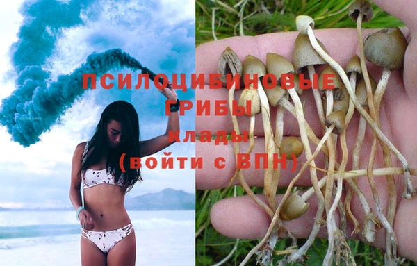 экстази Богданович
