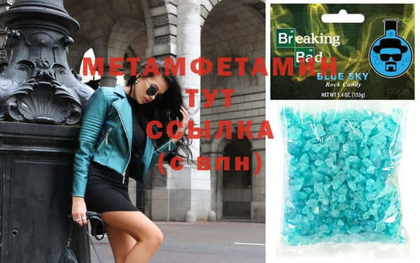 индика Богородицк