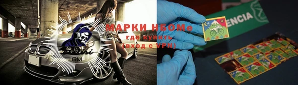 индика Богородицк