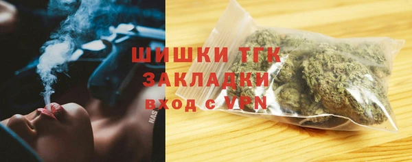 индика Богородицк
