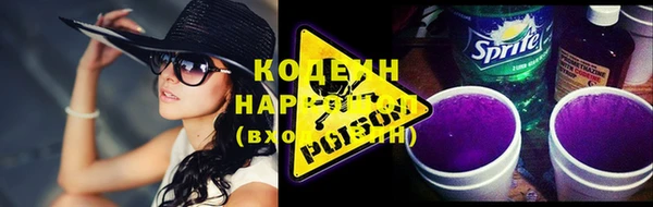 индика Богородицк