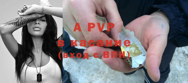 индика Богородицк