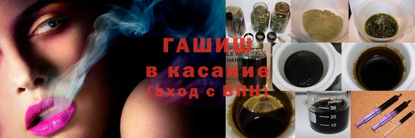 индика Богородицк