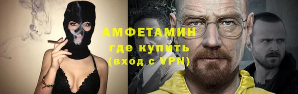 индика Богородицк