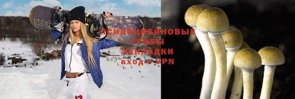 экстази Богданович