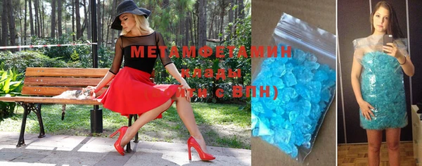 индика Богородицк