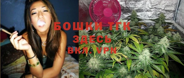 индика Богородицк