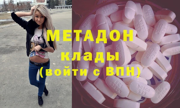 индика Богородицк