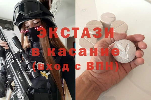 индика Богородицк