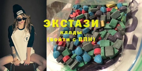 индика Богородицк