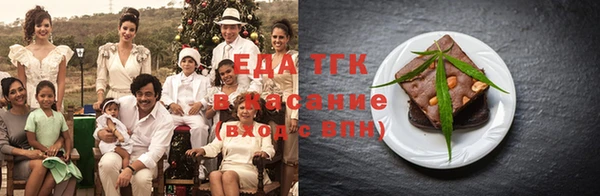 индика Богородицк