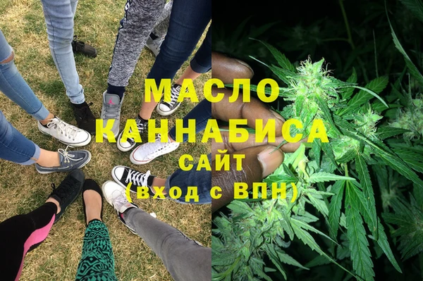 индика Богородицк